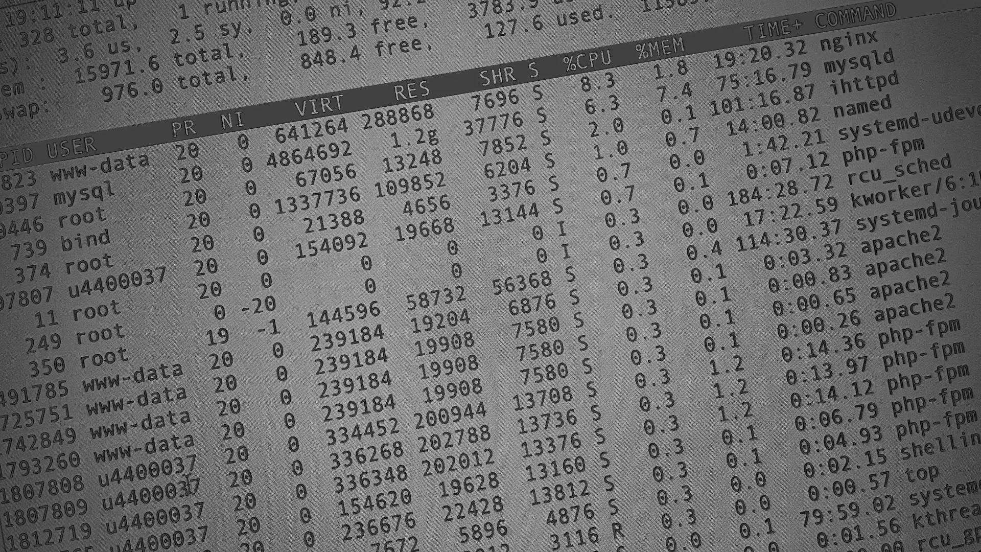 Настройка сервера в Дубовке