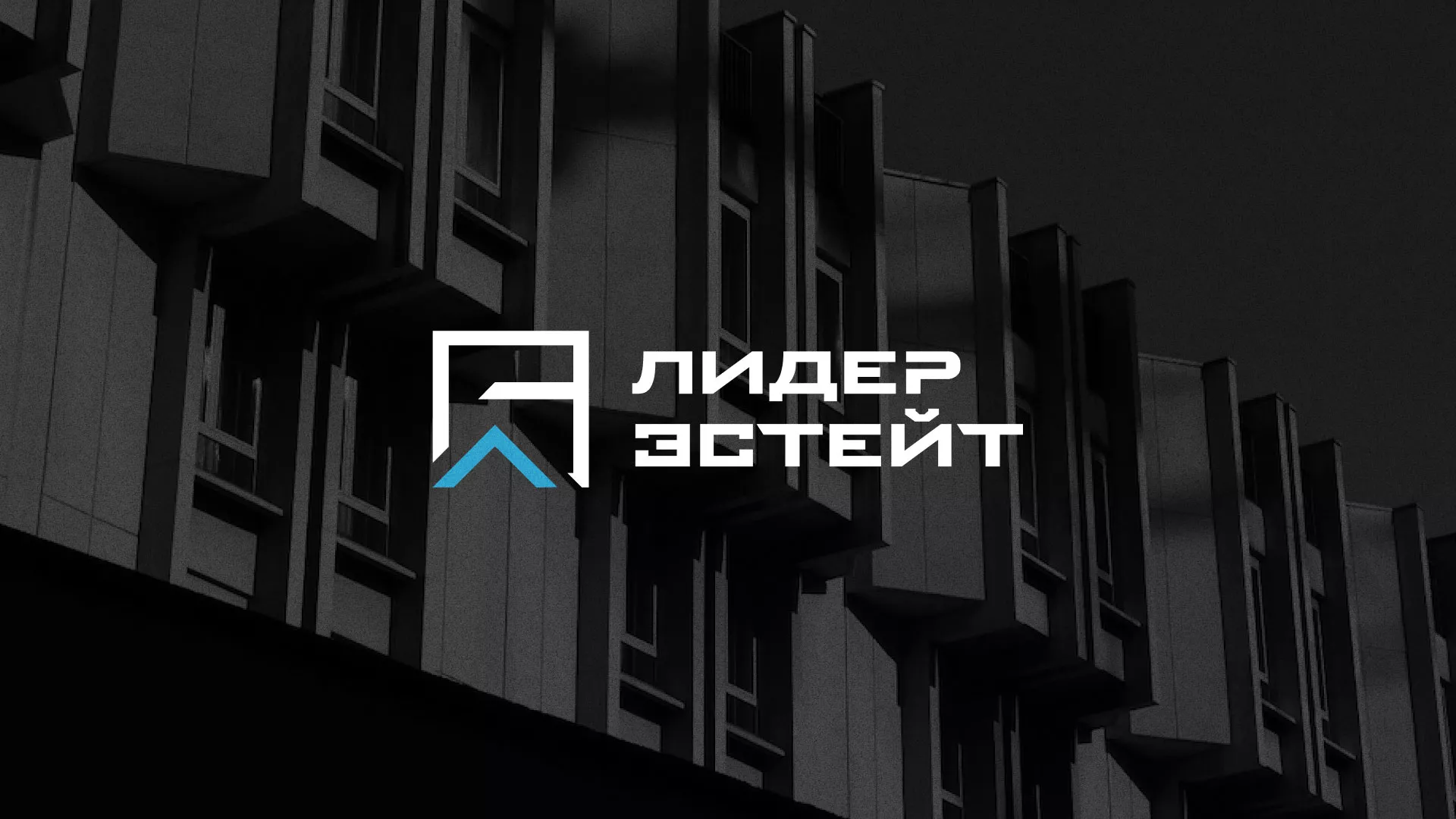 Разработка логотипа агентства недвижимости «Лидер Эстейт» в Дубовке