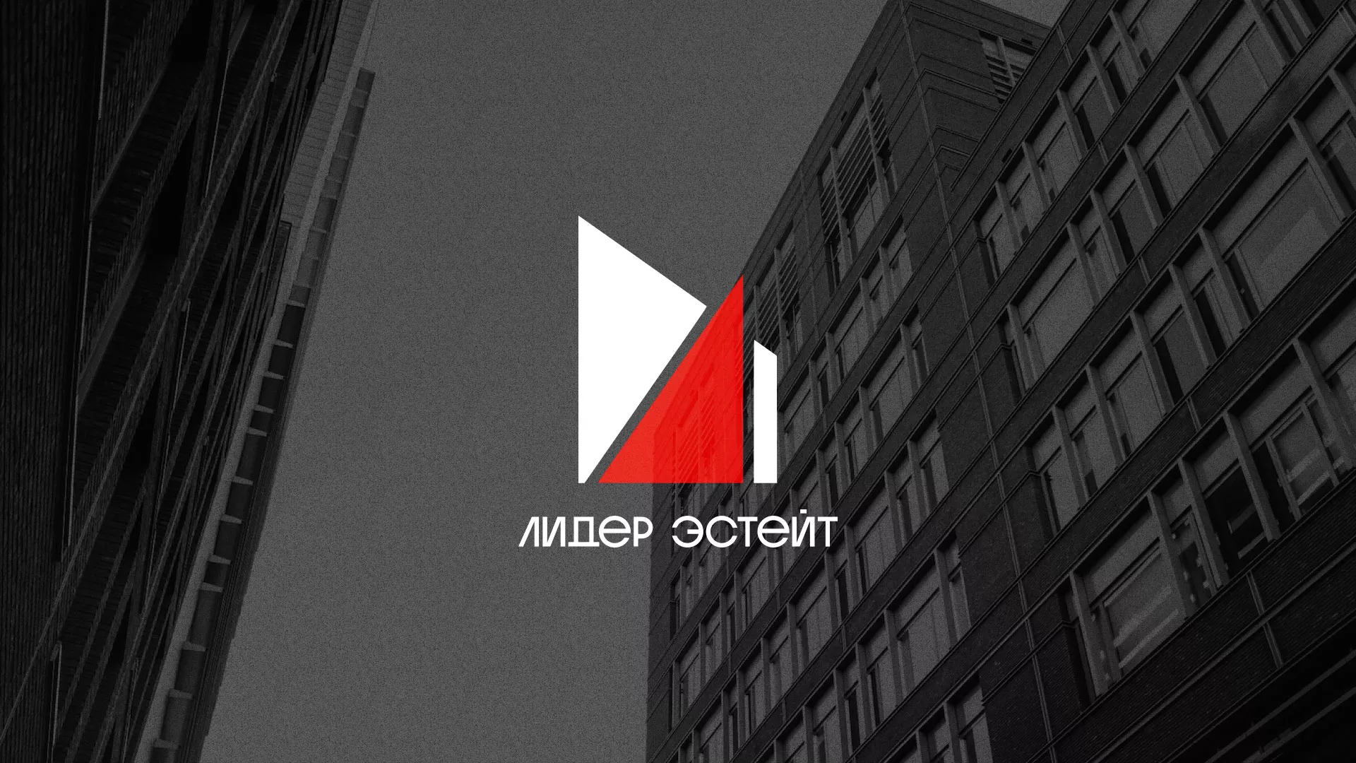 Сделали логотип для агентства недвижимости «Лидер Эстейт» в Дубовке